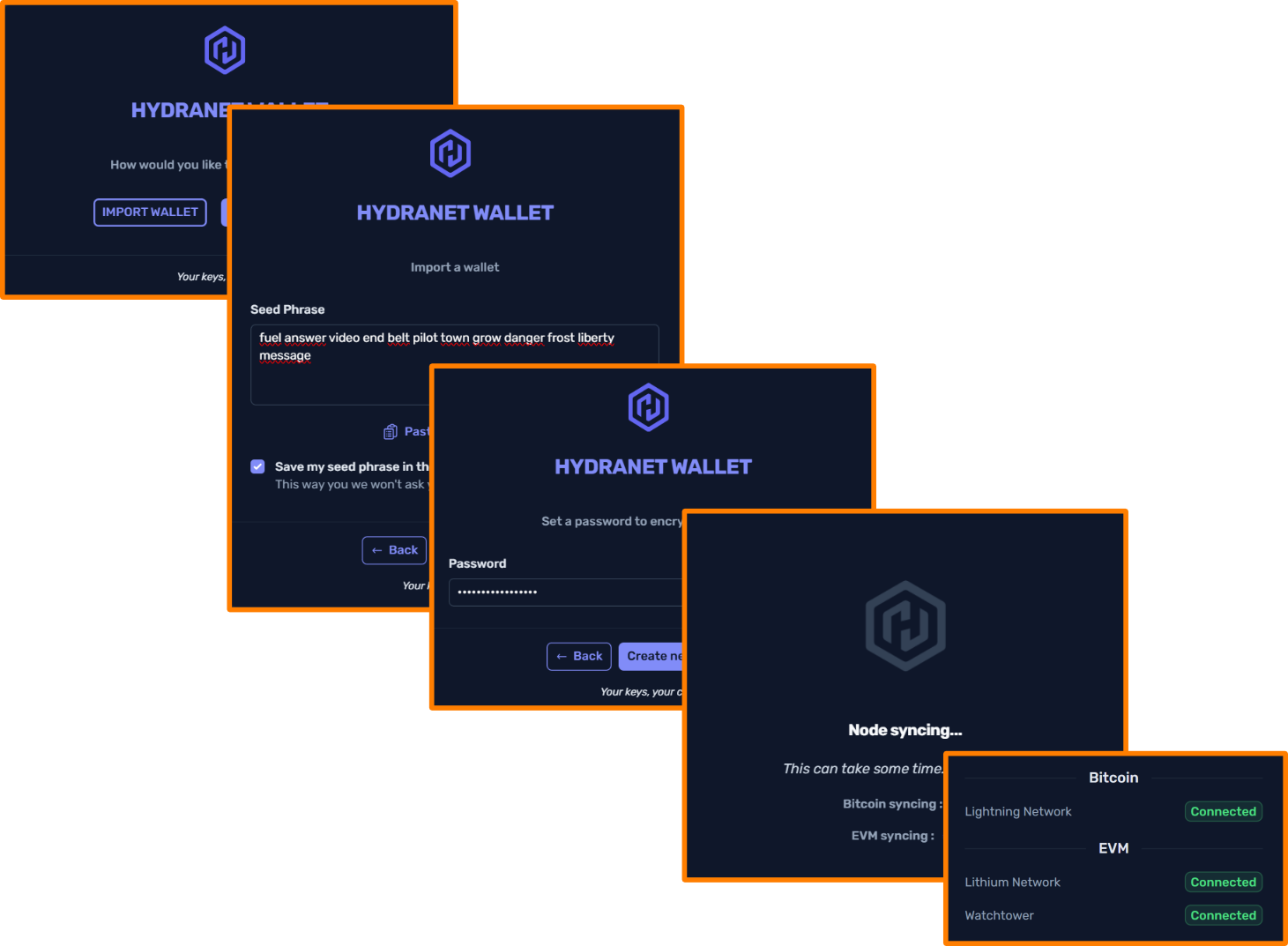 wallet-setup-import-wallet.png